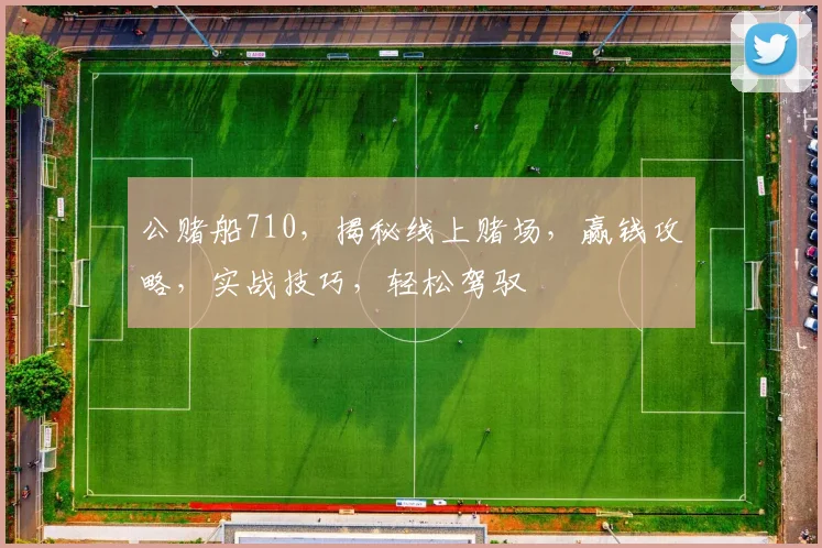 公赌船710，揭秘线上赌场，赢钱攻略，实战技巧，轻松驾驭