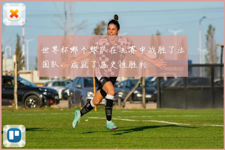 世界杯哪个球队在决赛中战胜了法国队，成就了历史性胜利